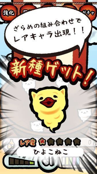 棉花糖貓貓