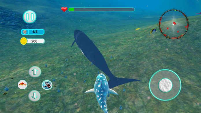 鯊魚攻擊進化3D