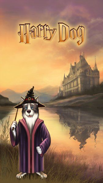哈利狗