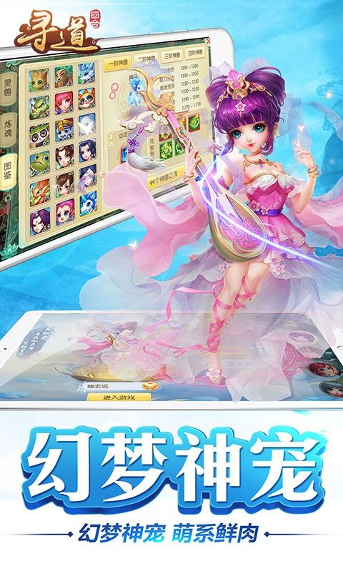 尋道回合