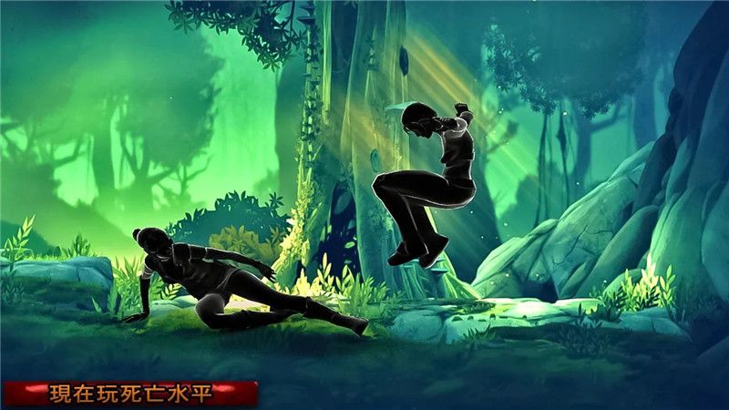 陰影戰(zhàn)士格斗