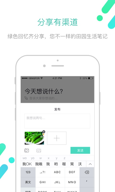 一粒貓