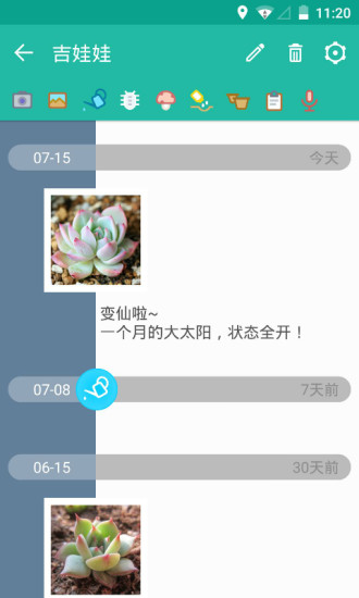多肉成長記