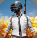 絕地求生：天天大吉