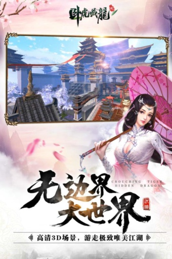 臥虎藏龍貳  九游版
