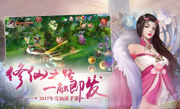 仙罡神域