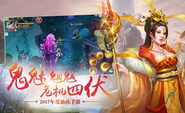 仙罡神域