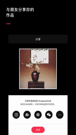 VUE視頻