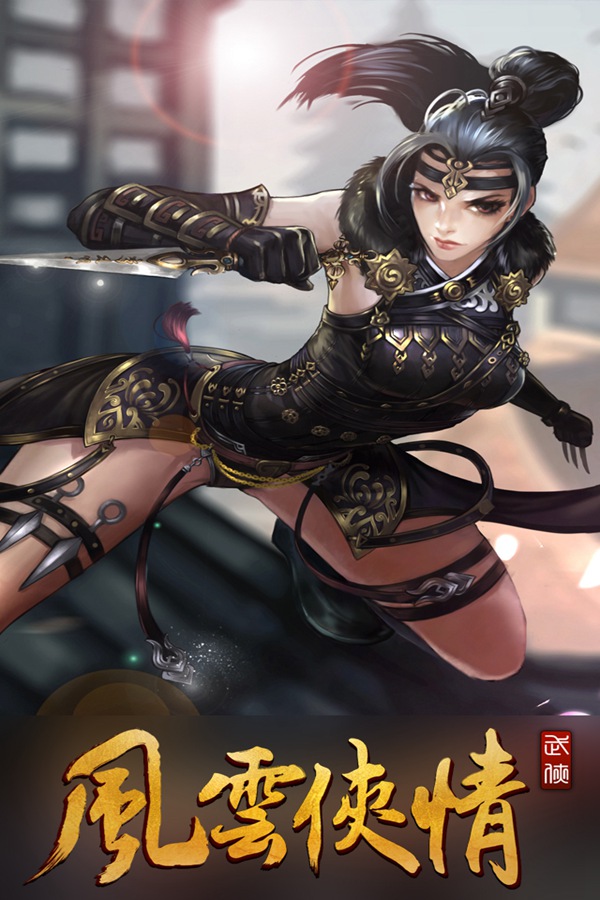 风云侠情