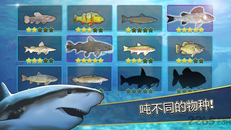 釣魚模擬器
