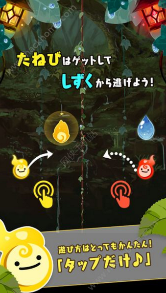 兩只小ONIBI