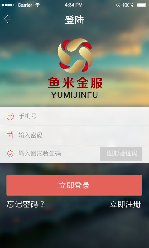 魚米金服
