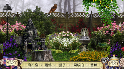 愛麗絲鏡中奇遇記