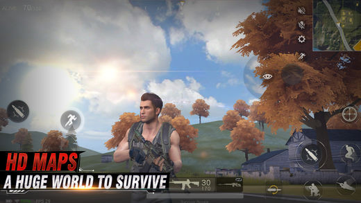 Survivor Royale