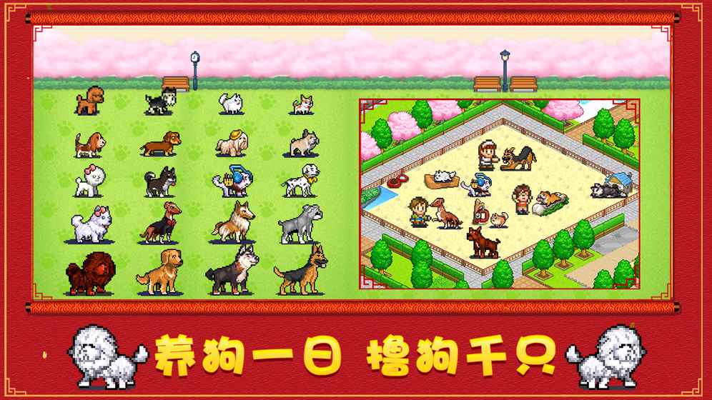 發現汪星人