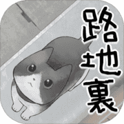 迷路猫咪的故事