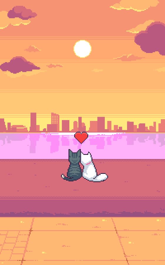 貓咪跳躍