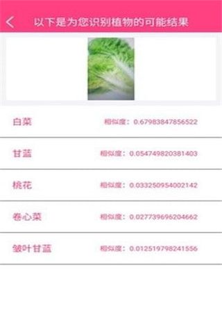 拍照識物