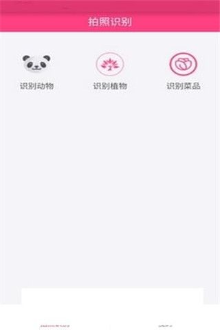 拍照識物