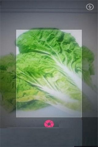 拍照識物