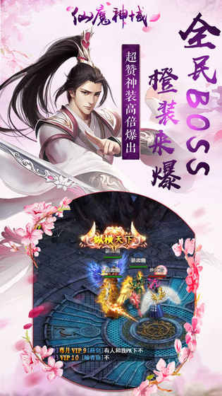 仙魔神域  九游版