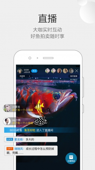 龍巔魚鄰