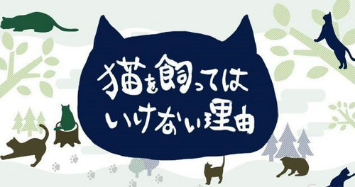 不允許養(yǎng)貓的原因