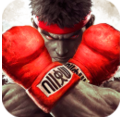 疾風(fēng)街頭  果盤版