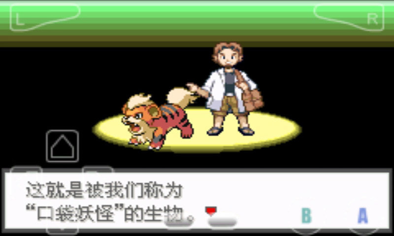 口袋妖怪极光石2.5A 中文版