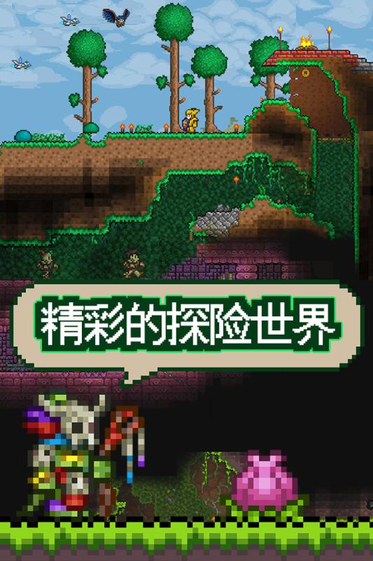 泰拉瑞亞  九游版