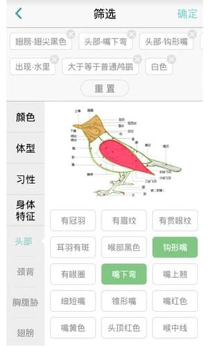 鳥(niǎo)類識(shí)別