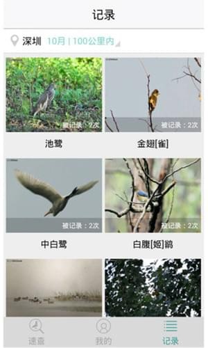 鳥(niǎo)類識(shí)別