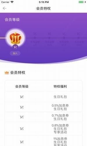 國美投資
