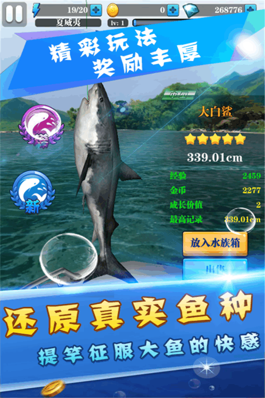 天天愛釣魚  九游版