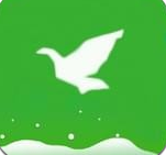 一個奇鴿船新版本