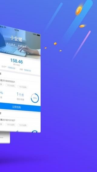 小金豬