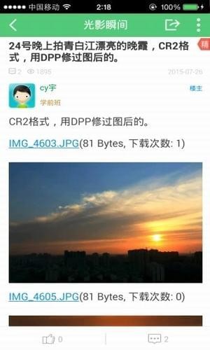 青白江論壇
