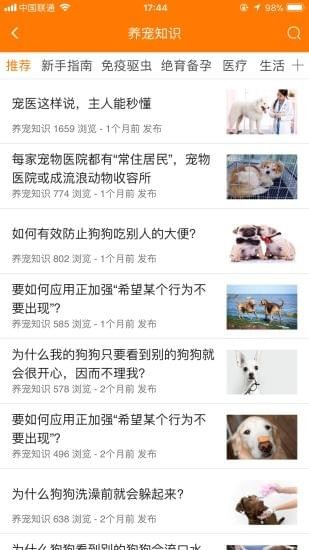 寵安安