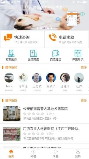 寵安安