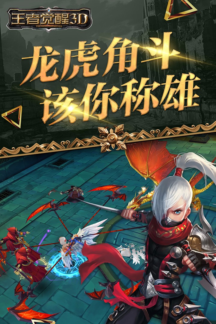 王者覺醒  果盤版