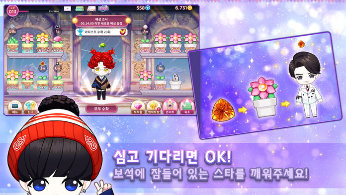 我的明星花園
