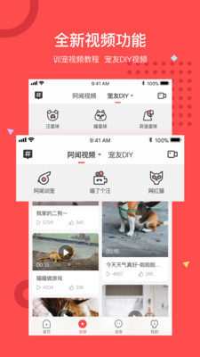 阿聞寵物