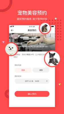 阿聞寵物