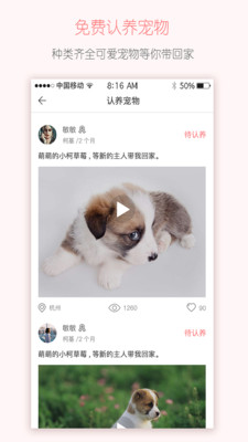 云寵城