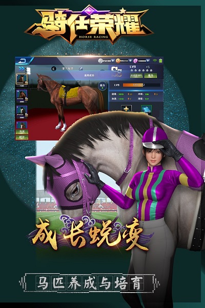 騎仕榮耀