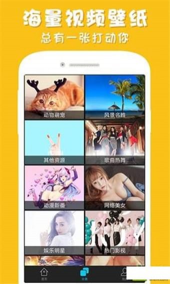 彩蛋視頻壁紙