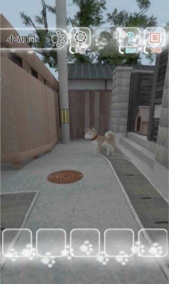迷途貓