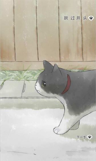 迷途貓