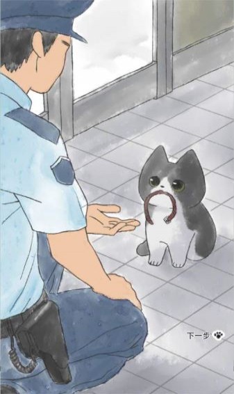 迷途貓