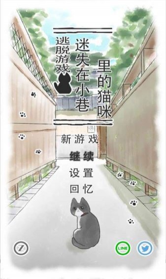 迷途貓